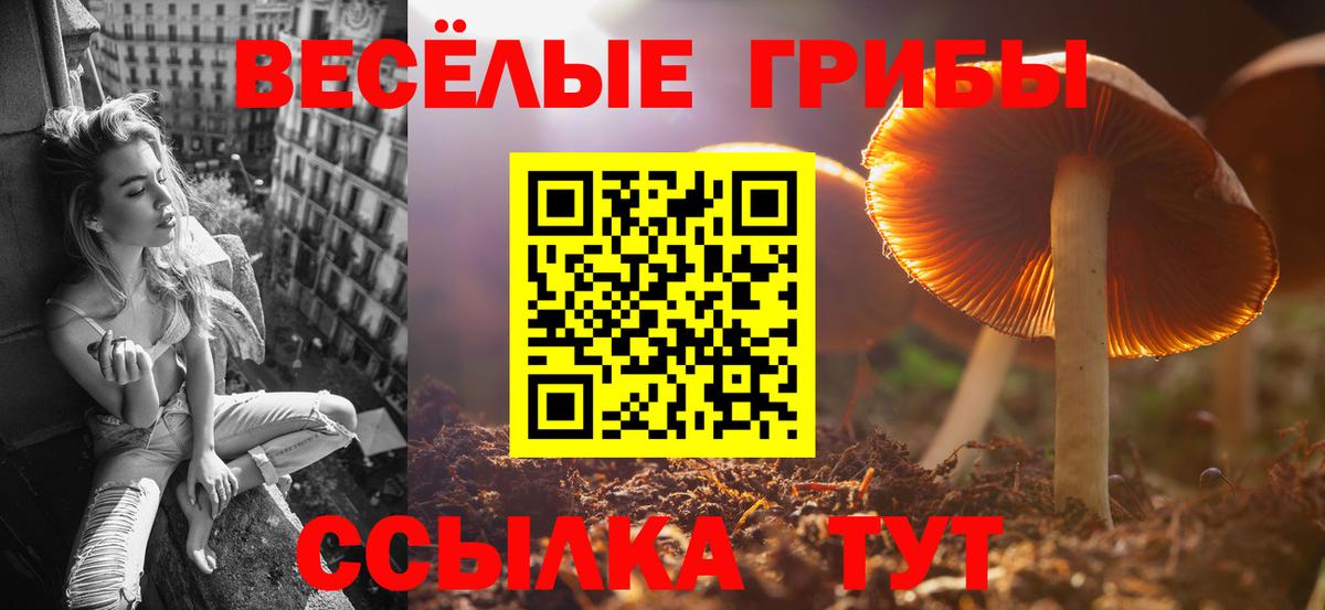 Тверь  Галлюциногенные грибы ЛСД  Вход с VPN 